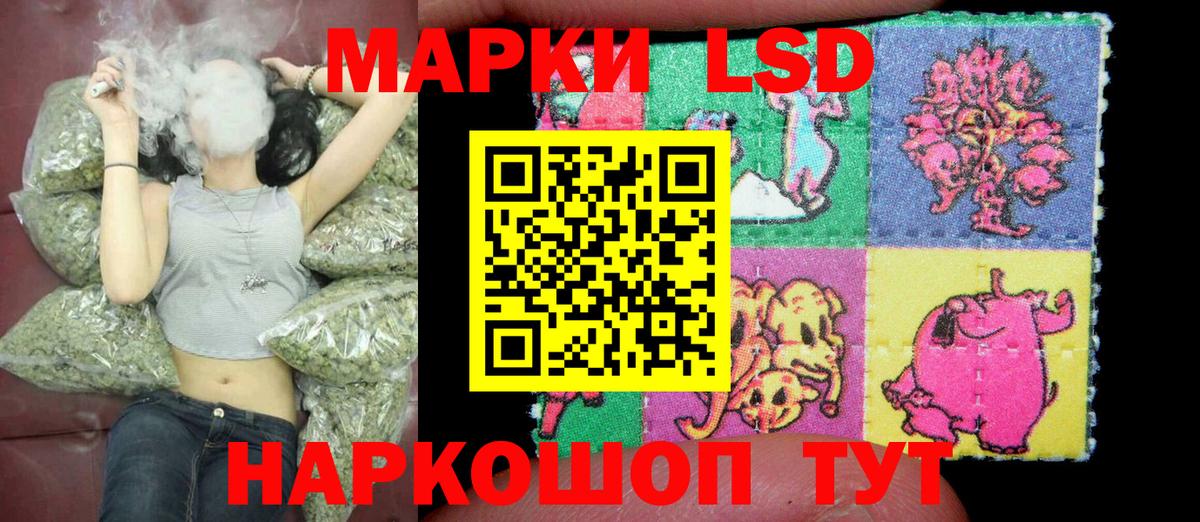 Наркотические марки 1,5мг  Наркотические марки  Наркотические марки 1,5мг  Вологда  Вход с VPN 