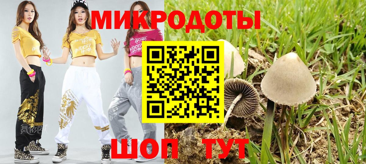 Галлюциногенные грибы прущие грибы Вологда
