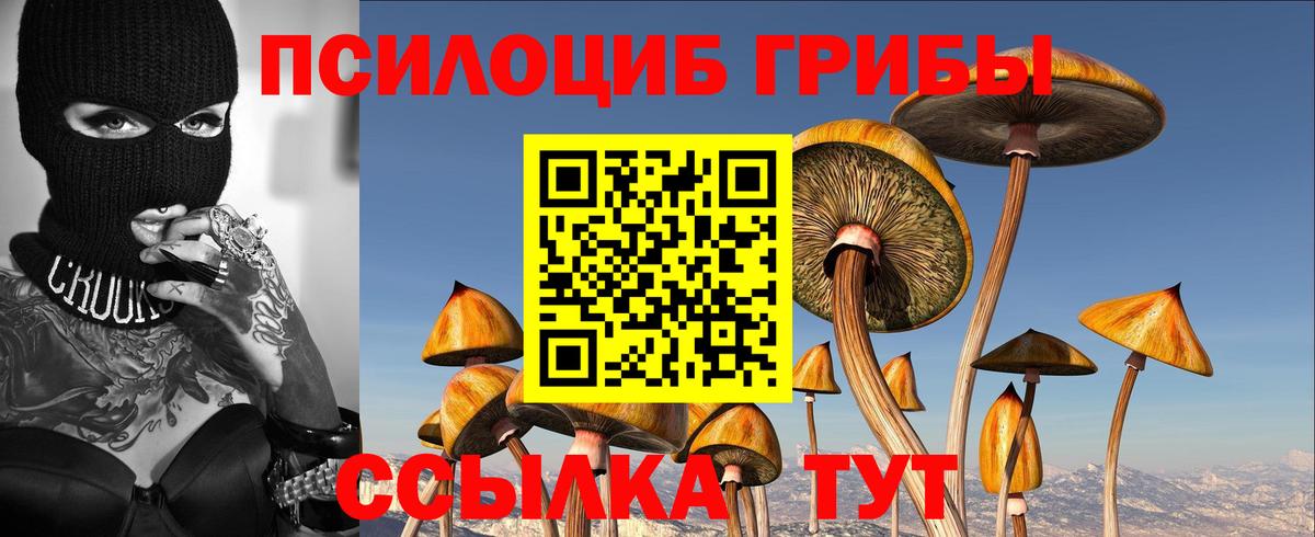 Вологда  Псилоцибиновые грибы Psilocybine cubensis  Вход с VPN 